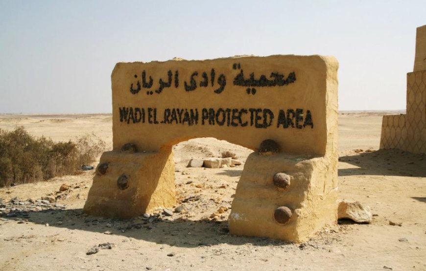 AL FAYOUM une journée