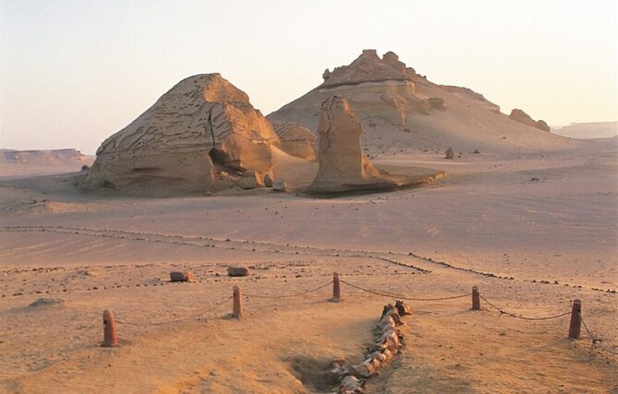 AL FAYOUM une journée