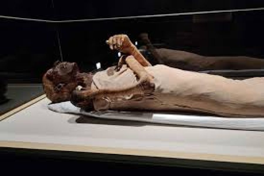 le musée de la civilisation Et le souq kan el kalili Demi-journée