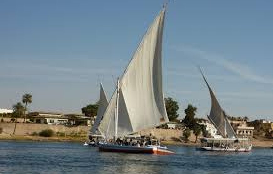 CROISIÈRE SUR LE LAC NASSER D Abu Simbel / Assouan : 4 jours / 3 nuits  .