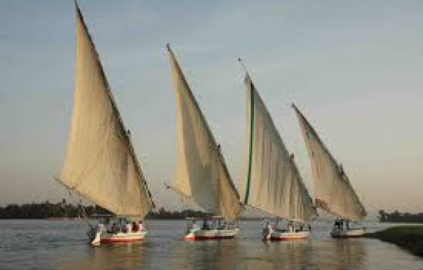 CROISIÈRE SUR LE LAC NASSER D Abu Simbel / Assouan : 4 jours / 3 nuits  .