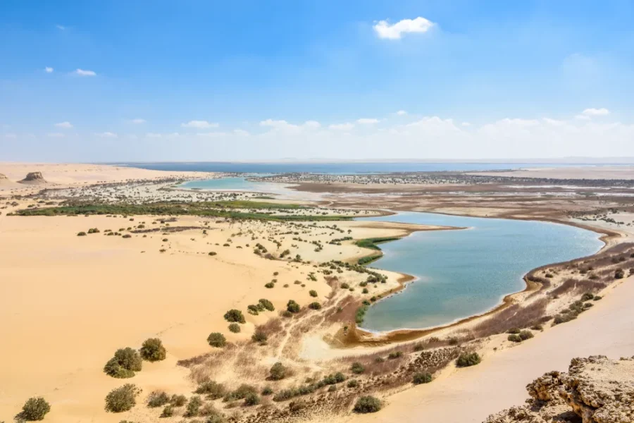 Safari 4×4 à l’Oasis El Fayoum – 2 jours / 1 nuit