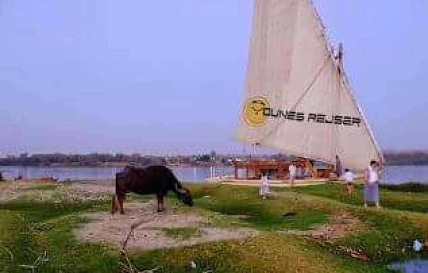 FELOUQUE :Croisière 6 jours 5 Nuits ASWAN / EDFOU EN FELOUQUE En pension complète