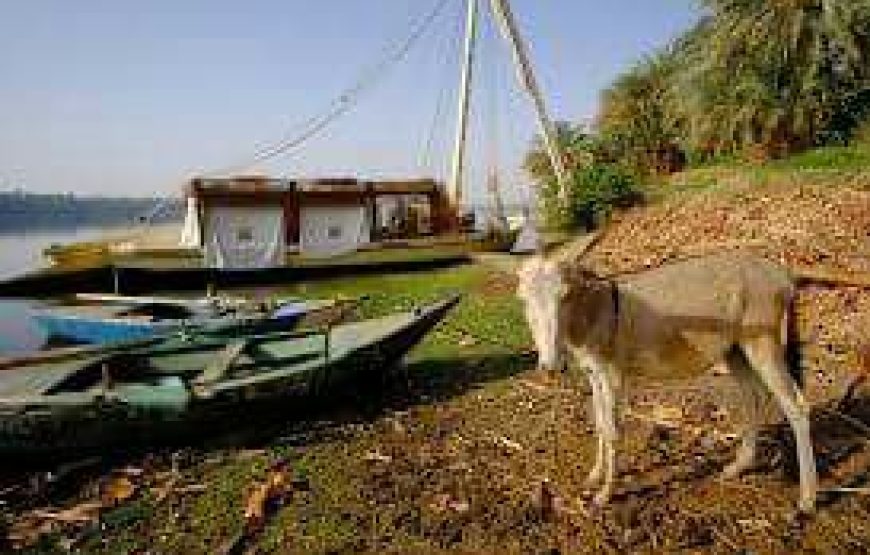 FELOUQUE :Croisière 6 jours 5 Nuits ASWAN / EDFOU EN FELOUQUE En pension complète