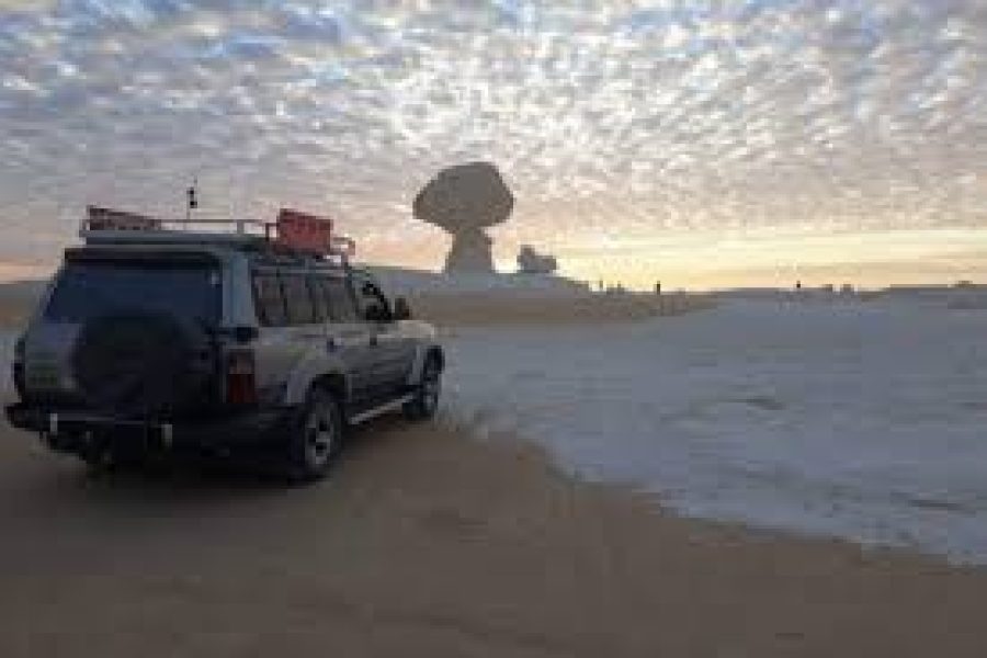 Safari 4×4 Le désert blanc  L’oasis bahareya  2 jours/une nuit en pension complète