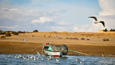 Oasis de Fayoum